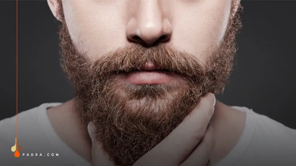 Mustache Transplant at Padra Clinic